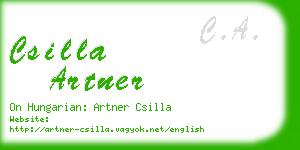 csilla artner business card